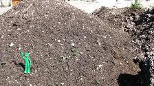 CLEAN FILL - YARD SCRAPINGS - MOSTLY SOIL - 3036 Main Street - Photo 2