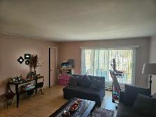 5 1/2 in Lasalle - Photo 3