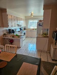 5 1/2 in Lasalle - Photo 5