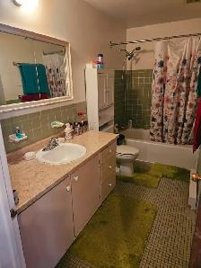 5 1/2 in Lasalle - Photo 6
