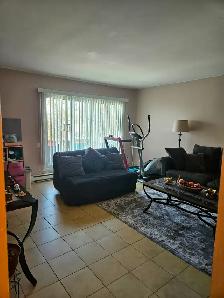 5 1/2 in Lasalle - Photo 7