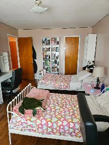 5 1/2 in Lasalle - Photo 12