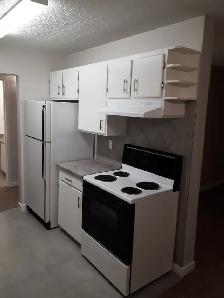 1 BEDROOM APARTMENT - PET FRIENDLY - Photo 6