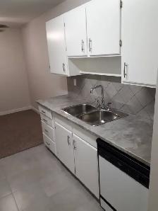 1 BEDROOM APARTMENT - PET FRIENDLY - Photo 7