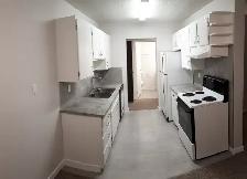 1 BEDROOM APARTMENT - PET FRIENDLY - Photo 8