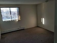 1 BEDROOM APARTMENT - PET FRIENDLY - Photo 9