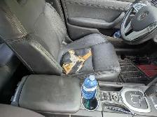 2009 Pontiac G8 Rare - Photo 10