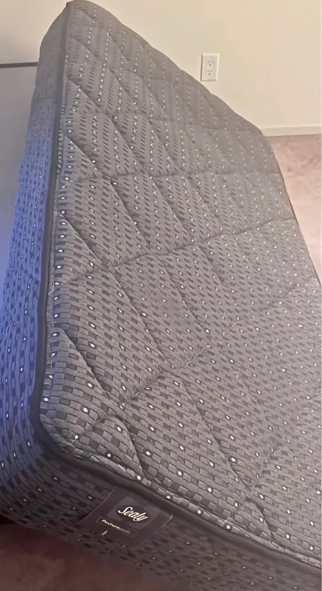 Twin Sealy Posturepedic mattress only