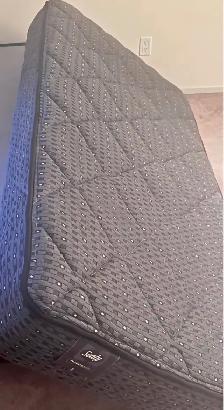 Twin Sealy Posturepedic mattress only