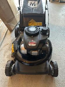 lawnmower yard 21"