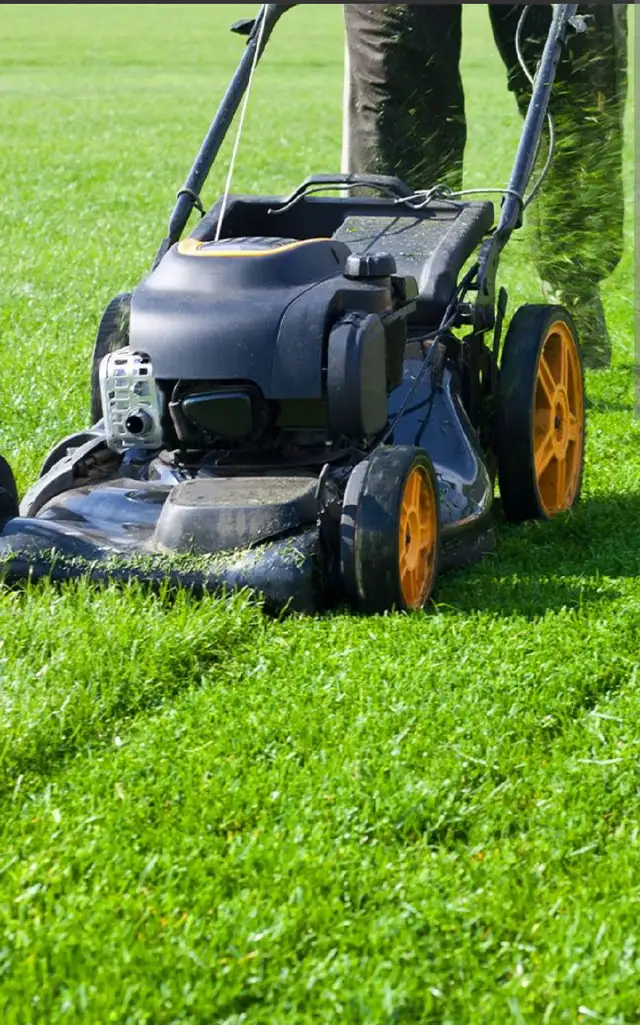 lawnmower service