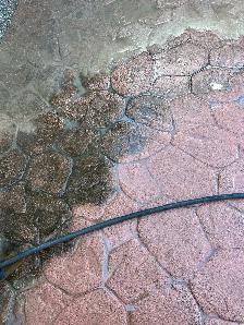 Concrete cleaning and sealing - Photo 2