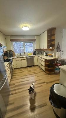 Furnished room for Rent. PALISSER. SW. CALGARY - Photo 4