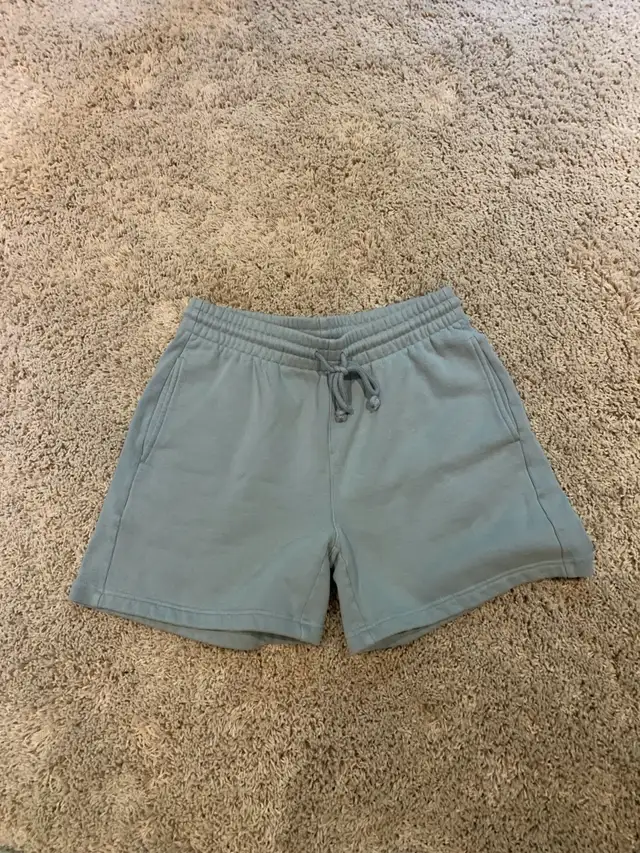 Aritzia jogging pants and shorts