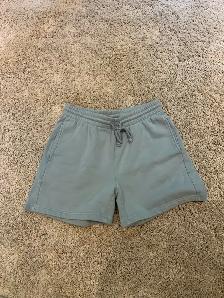 Aritzia jogging pants and shorts