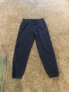 Aritzia jogging pants and shorts - Photo 3