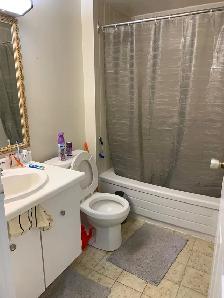 2 Bedroom Apartment for Sublet in Truro! FURNISHED - Photo 6