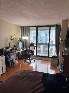 Large Furnished Two Bedroom Suite in Downtown Toronto - Photo 2
