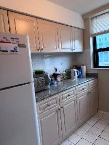 Large Furnished Two Bedroom Suite in Downtown Toronto - Photo 8