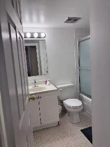 Large Furnished Two Bedroom Suite in Downtown Toronto - Photo 9
