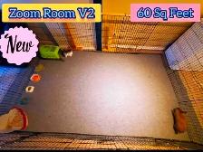 Rabbit Boarding & Training . XXL Private Rooms. 24/7 Love  Care - Photo 2