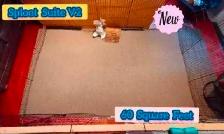 Rabbit Boarding & Training . XXL Private Rooms. 24/7 Love  Care - Photo 3