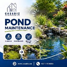 Pond Maintenance