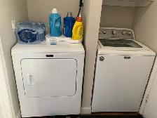 1 bed & 1 bath basement