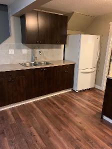 1 bed & 1 bath basement - Photo 4