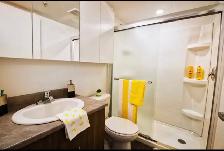 Studios for rent ! - Photo 6