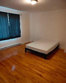 Large size bedroom in Cote-des-neiges, renovated - Photo 6