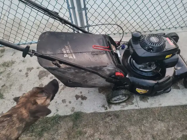 Craftsman Lawn Mower