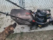 Craftsman Lawn Mower