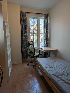 Multiple Rooms Private Bath Balcony Parking @York University - Photo 6