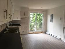 LACHINE UPPER DUPLEX. COMPLETELY RENOVATED. BACK YARD. - Photo 2
