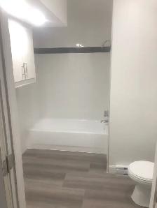 LACHINE UPPER DUPLEX. COMPLETELY RENOVATED. BACK YARD. - Photo 3