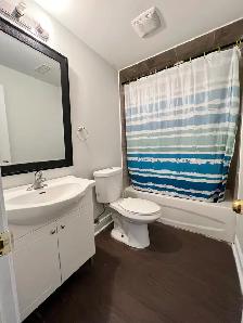 Basement - Shared Room with ensuite washroom - Photo 6