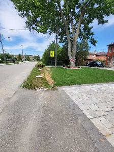 Basement Apartment for Rent in Scarborough 2BR, Kitchen, living - Photo 10