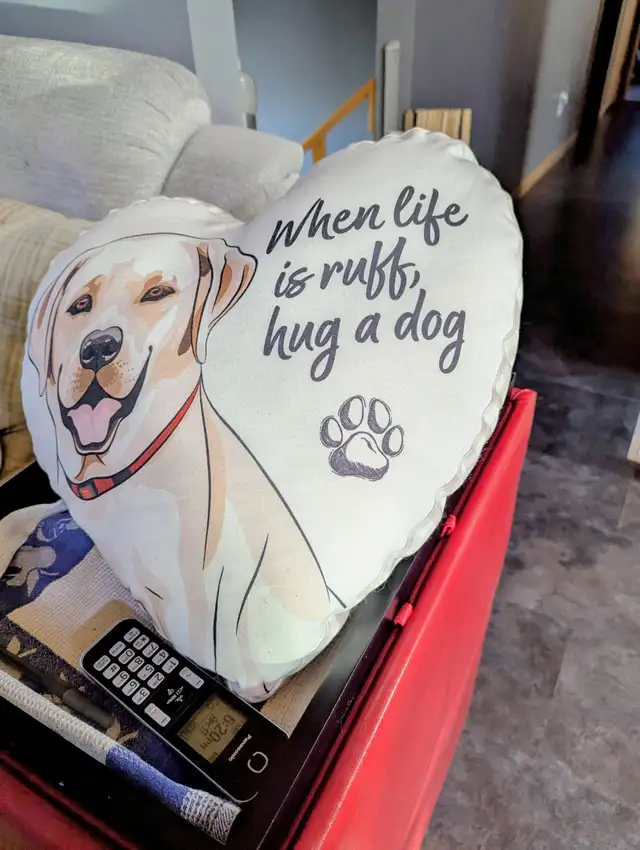 Heart Shaped Dog Pillow