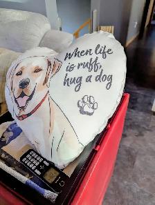 Heart Shaped Dog Pillow