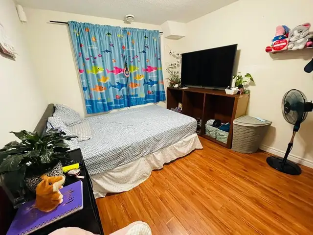 Room for rent