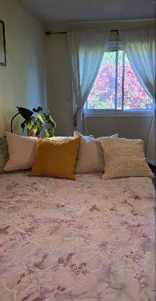 Beautiful, Bright Main Floor (Elec Charger Avail) August 1st - Photo 10