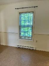 Woodstock NB studio apartment for rent - Photo 4