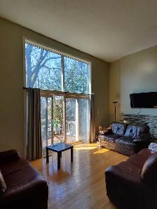 4 bedroom 3 washroom house close to STC (Agincourt) - Photo 4
