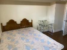 -= Large 4 bdrm apt with 2 full washroom & Parking =- - Photo 9