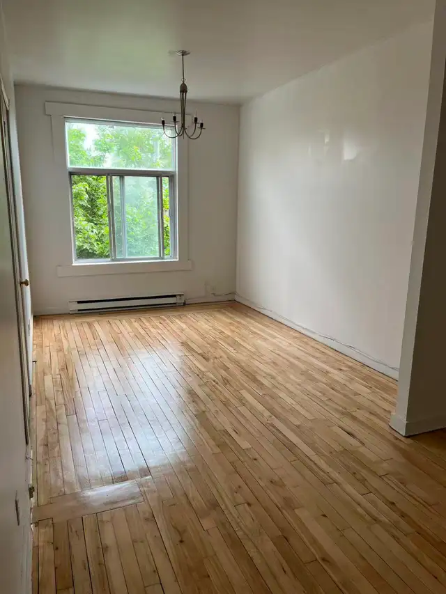 bright 4 1/2 for rent