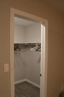 Executive Townhome for Rent – 4 Bed, 2.5 Bath – Uni of Guelph - Photo 6