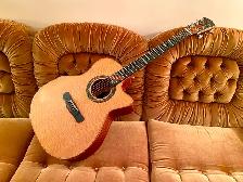 Merida Extreme Autumn Guitar with Hardshell Case, Excellent!!