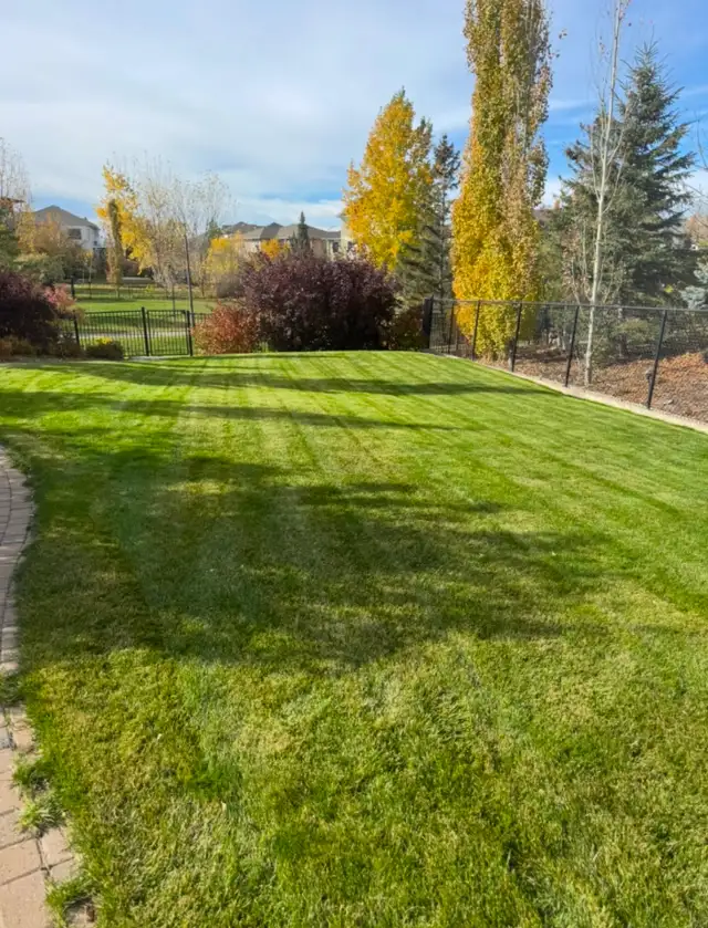 Lawn care services