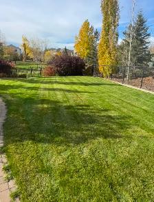 Lawn care services